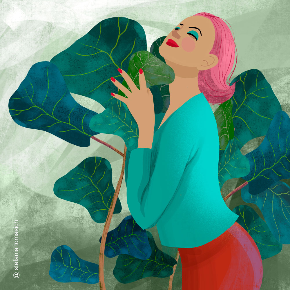 Ficus Lyrata Love | By Stefania Tomasich