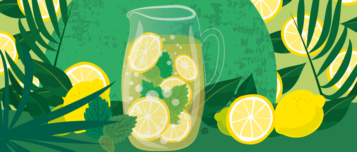 Lemonade Recipe Illustration By Stefania Tomasich